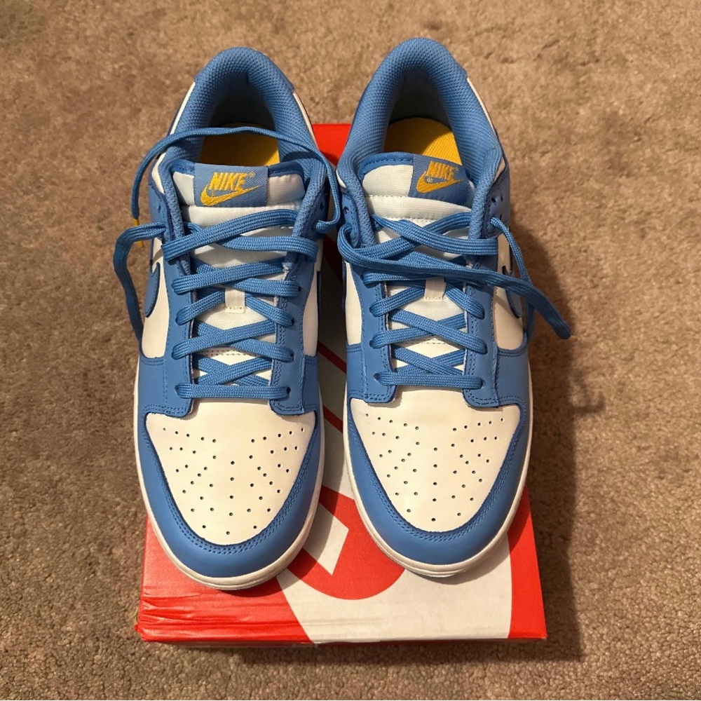 Coast mike dunk size 10
